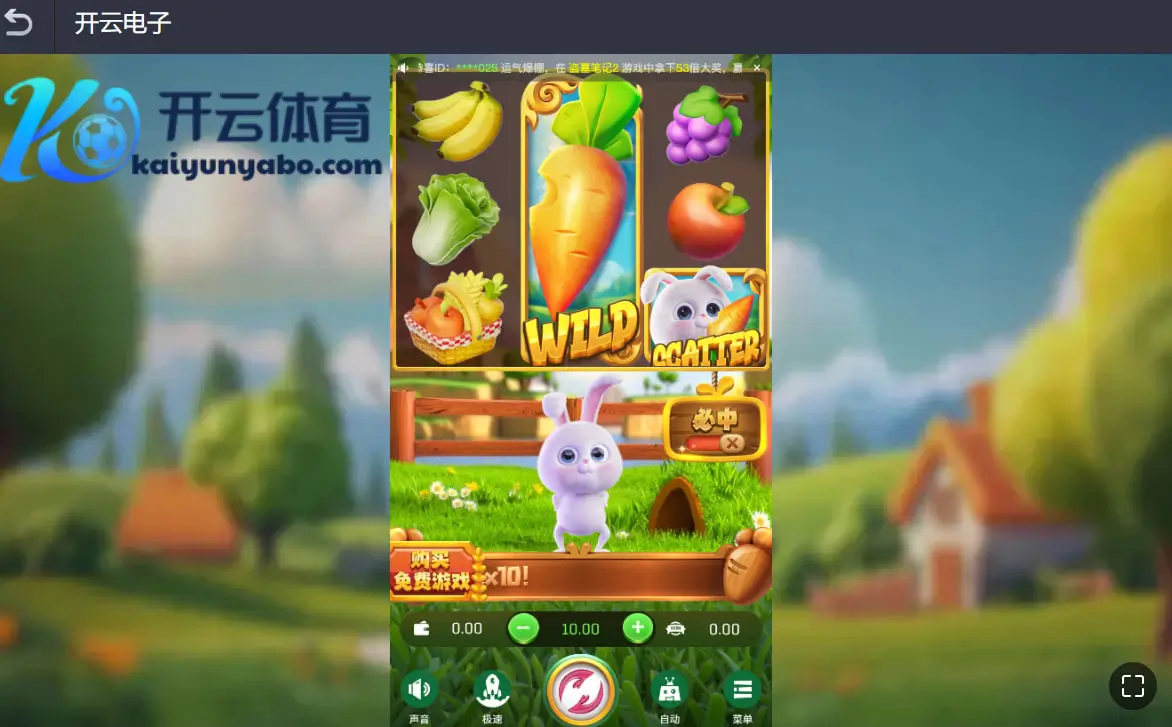 什么是活宝兔?奇幻萌兔,欢乐不停!